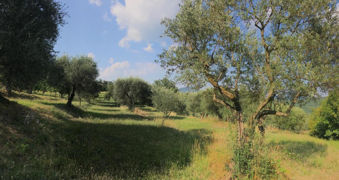 Casa Vacanze Agli Ulivi Baone Exterior foto